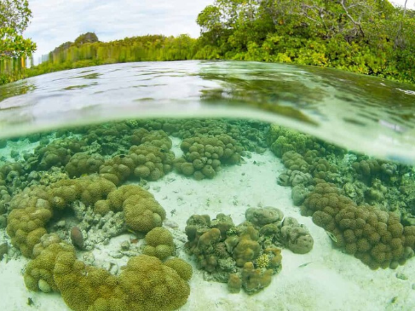 El falso conflicto entre áreas protegidas y propiedad privada